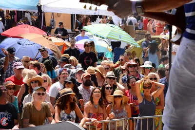 DSC_2054 (Large).JPG